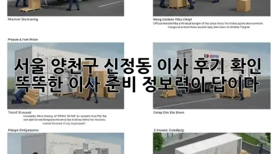 서울 양천구 신정동 이사 후기 확인: 똑똑한 이사 준비, 정보력이 답이다!