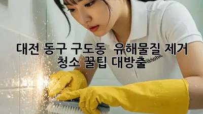 대전 동구 구도동 🏡 유해물질 제거 청소, 꿀팁 대방출! ✨
