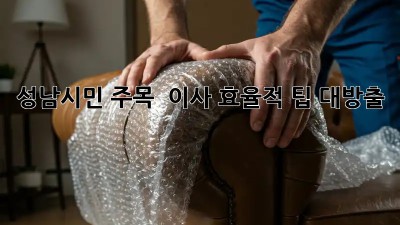 성남시민 주목! 🏡 이사 효율적 팁 대방출! 🚚💨